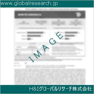 グローバルリサーチ調査資料のイメージ